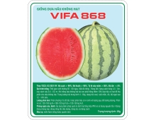 DƯA HẤU KHÔNG HẠT VIFA868