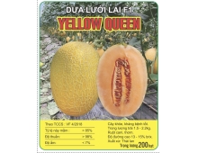 DƯA LƯỚI LAI F1 YELLOW QUEEN